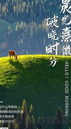 打水果机怎么用-打水果机，操作指南与日常保养